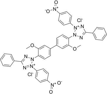 Nitro blue tetrazolium chloride Structure