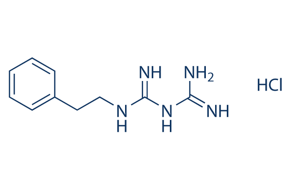 Phenformin hydrochloride Structure