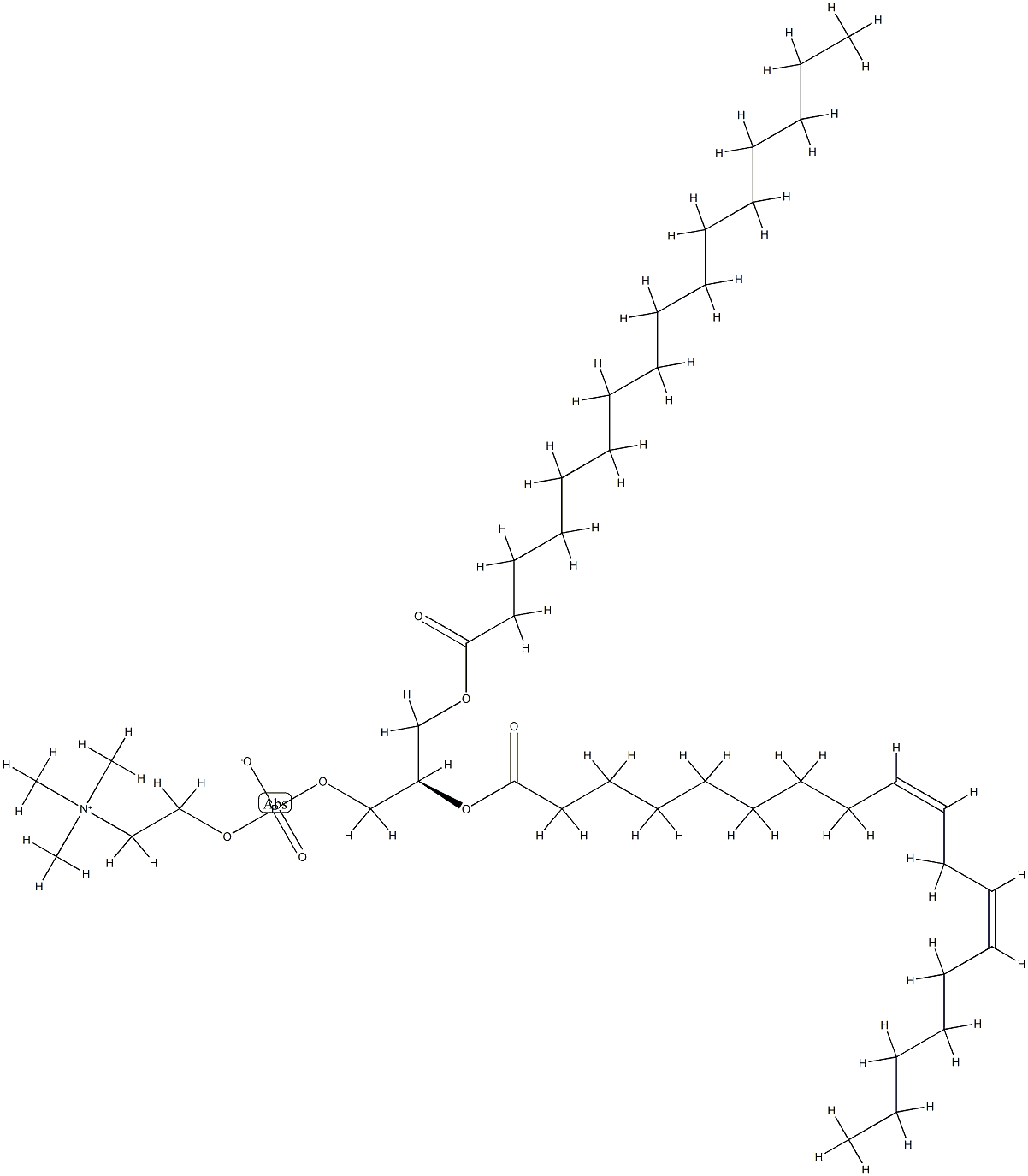 Sunflower phospholipids Structure