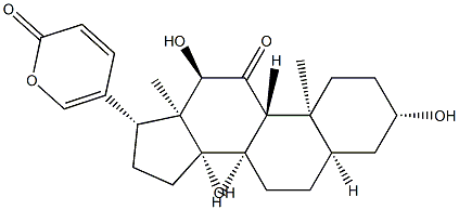 Pseudobufarenogin Structure