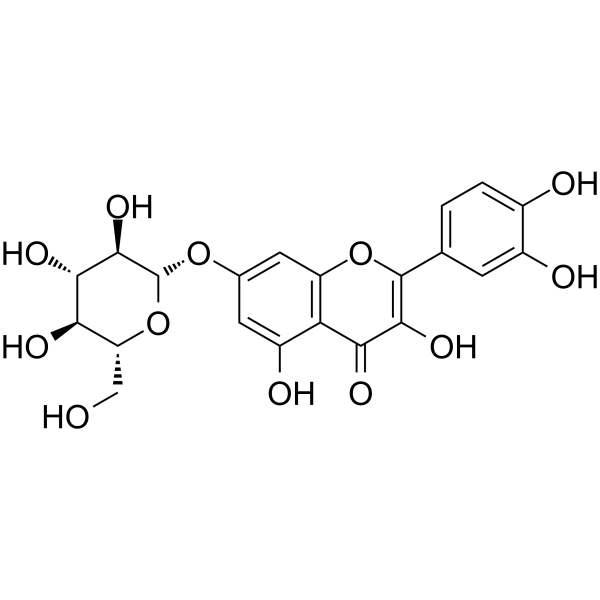 Quercimeritrin Structure