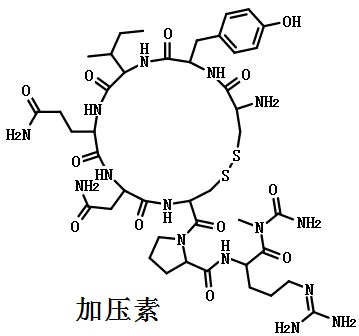 Vasopressin Structure