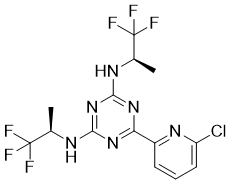 Vorasidenib Structure