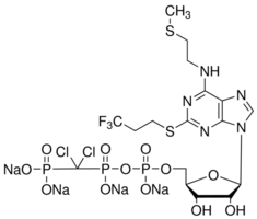 Cangrelor tetrasodium Structure