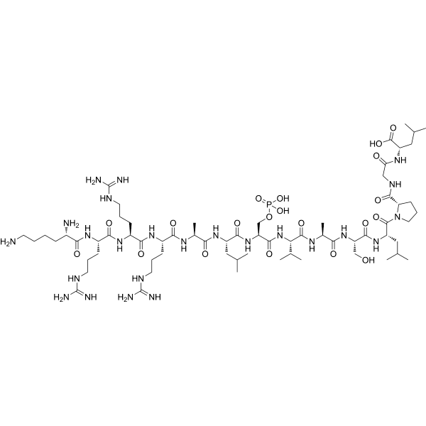 CCK1-specific peptide substrate Structure