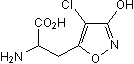 Cl-HIBO Structure