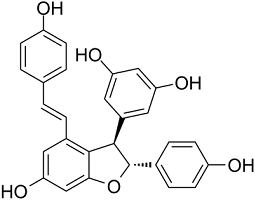 ε-Viniferin Structure
