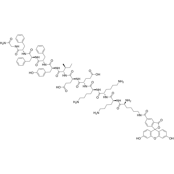 FAM-CSKtide Structure