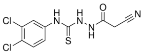 iKIX1 Structure