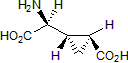 L-CCG-l Structure