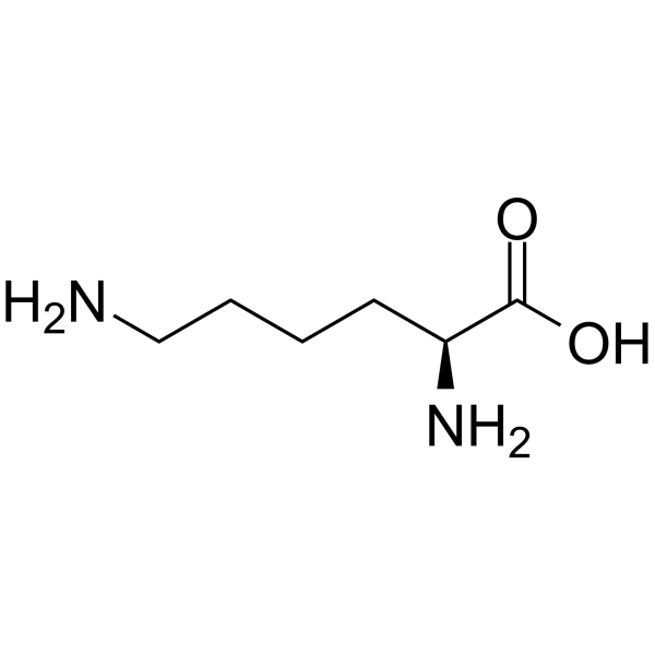 L-Lysine Structure