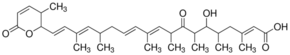Leptomycin A Structure