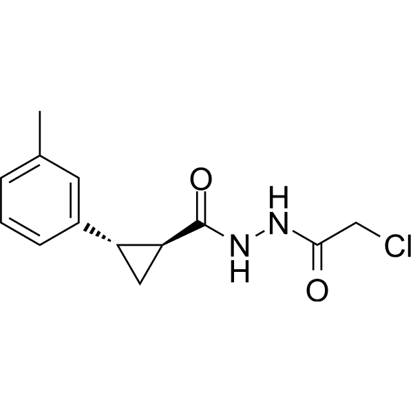 LN5P45 Structure