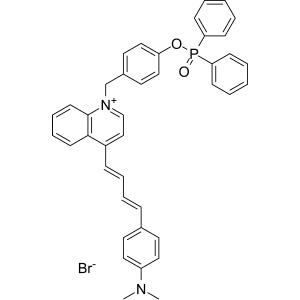 MQA-P Structure