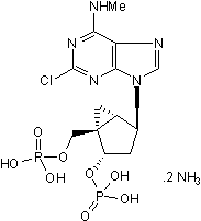 MRS 2279 Structure
