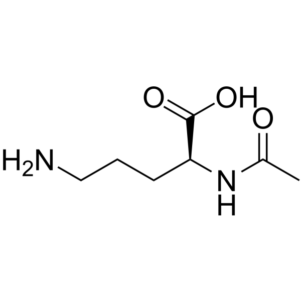 N-Acetylornithine Structure