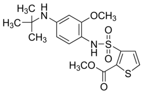 PT-S58 Structure