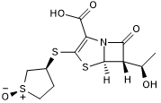 Sulopenem Structure