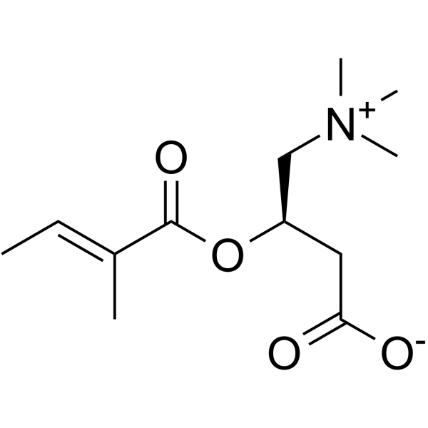 Tiglyl carnitine Structure