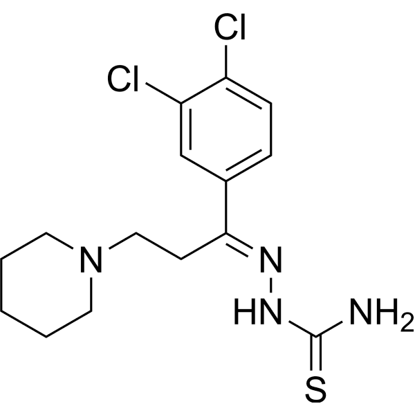 TSC24 Structure