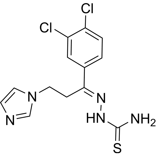 TSC26 Structure
